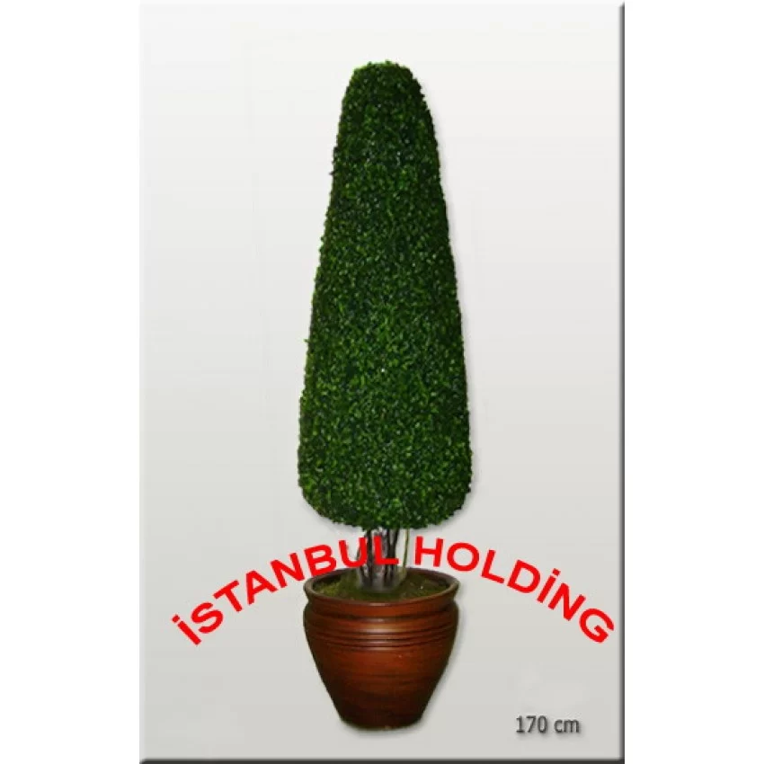 Şimşir Ağaçlar 1