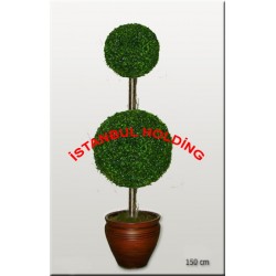 Şimşir Ağaçlar 12