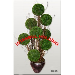 Şimşir Ağaçlar 2