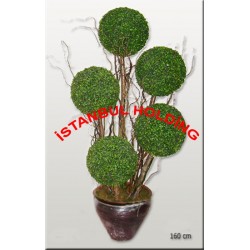 Şimşir Ağaçlar 3