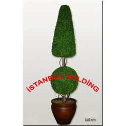 Şimşir Ağaçlar 4