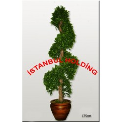 Şimşir Ağaçlar 6