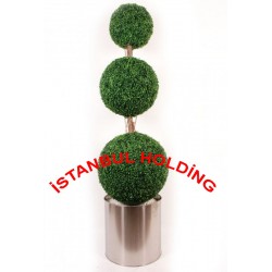 Şimşir Ağaçlar 9