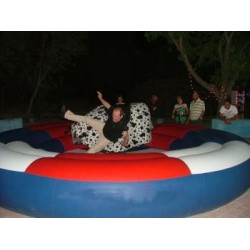 Rodeo (Boğa) Minder Çapı 6 Mt.