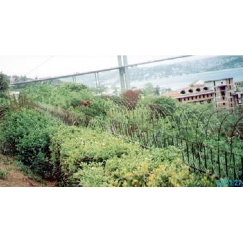 Jiletli Tel Uygulaması - 19