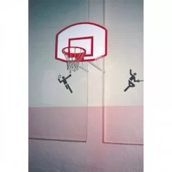 Basketbol Potaları 15