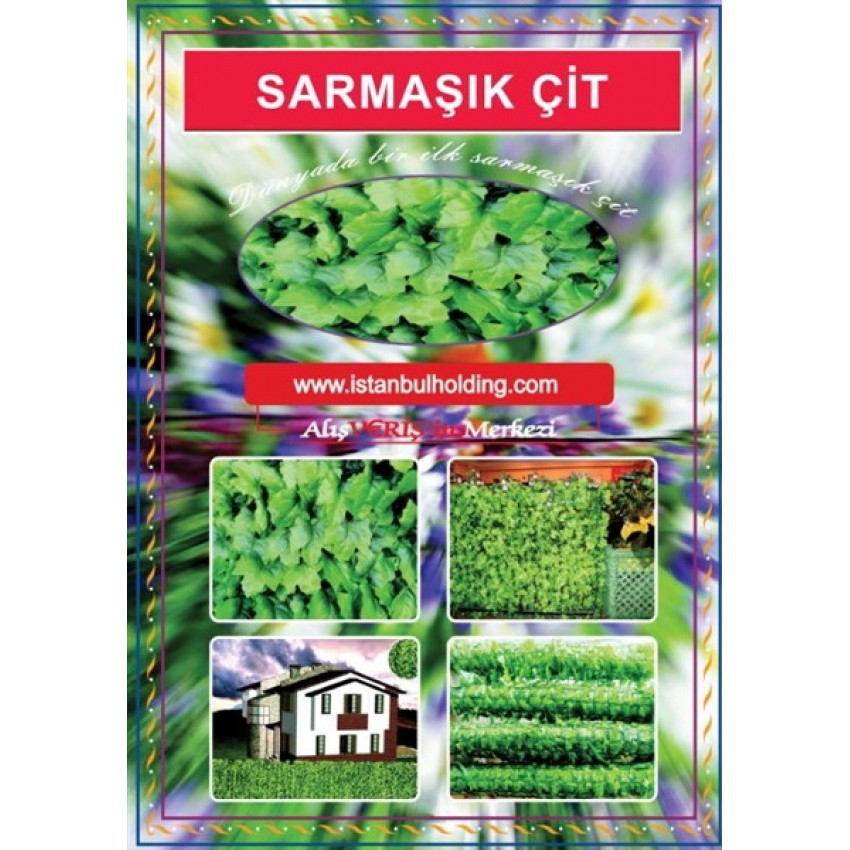 Sarmaşık Çit 4