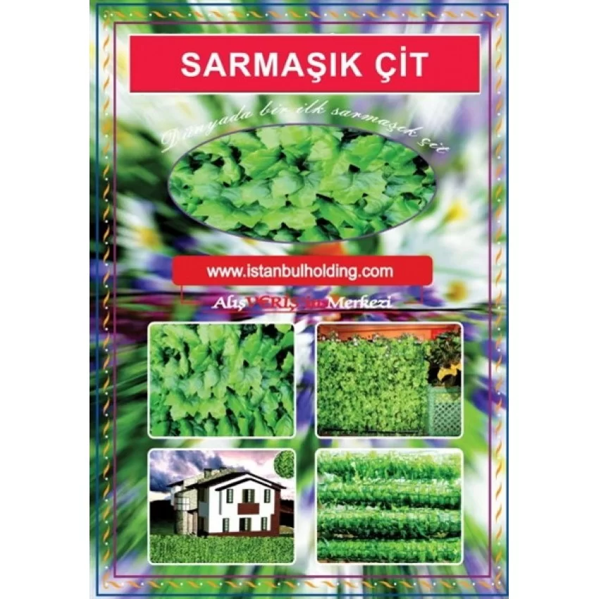 Sarmaşık Çit 4